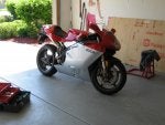 all pics 255.jpg